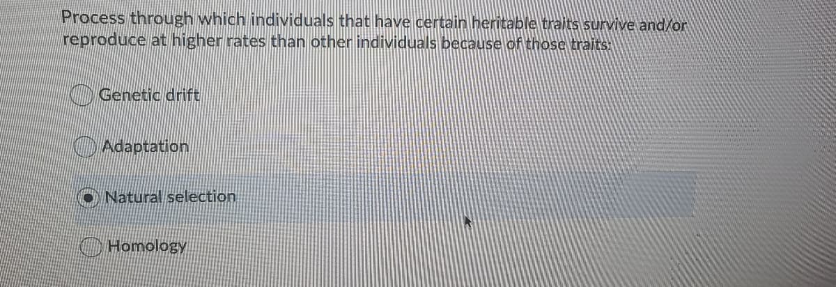 Process through which individuals that have certain heritable traits survive and/or
reproduce at higher rates than other individuals because of those traits:
O Genetic drift
O Adaptation
O Natural selection
Homology
