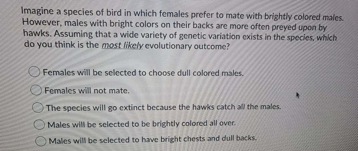 Imagine a species of bird in which females prefer to mate with brightly colored males.
However, males with bright colors on their backs are more often preyed upon by
hawks. Assuming that a wide variety of genetic variation exists in the specles, which
do you think is the most likely evolutionary outcome?
Females will be selected to choose dull colored males,
Females wil not mate.
The species will go extinct because the hawks.catch all the males.
Males will be selected to be brightly colored all over.
Males will be selected to have bright chests and dull backs.
