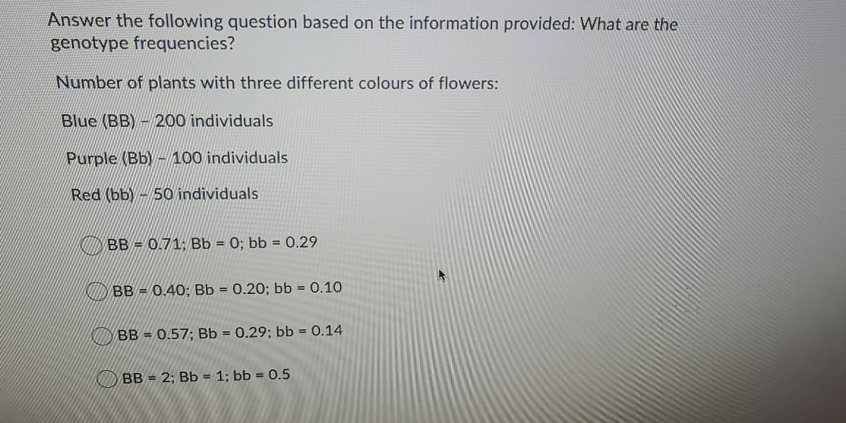 Answer the following question based on the information provided: What are the
genotype frequencies?
Number of plants with three different colours of flowers:
Blue (BB)- 200 individuals
Purple (Bb)-100 individuals
Red (bb)-50 individuals
BB = 0.71; Bb = 0; bb = 0.29
KI BB = 0.40; Bb = 0.20; bb = 0.10
R BB = 0.57; Bb = 0.29; bb = 0.14
BB = 2; Bb = 1; bb = 0.5
