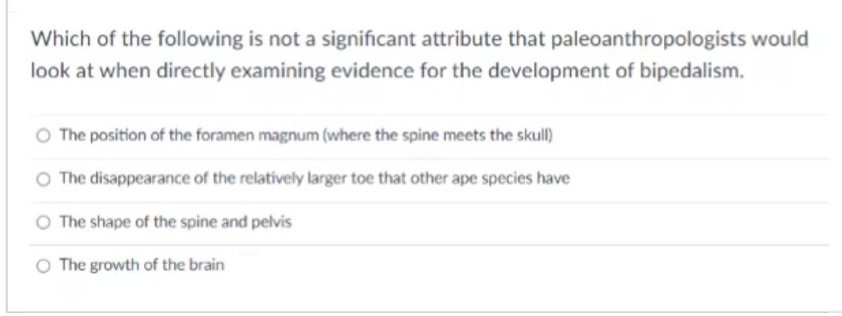 Which of the following is not a significant attribute that paleoanthropologists would
look at when directly examining evidence for the development of bipedalism.
O The position of the foramen magnum (where the spine meets the skull)
O The disappearance of the relatively larger toe that other ape species have
O The shape of the spine and pelvis
O The growth of the brain
