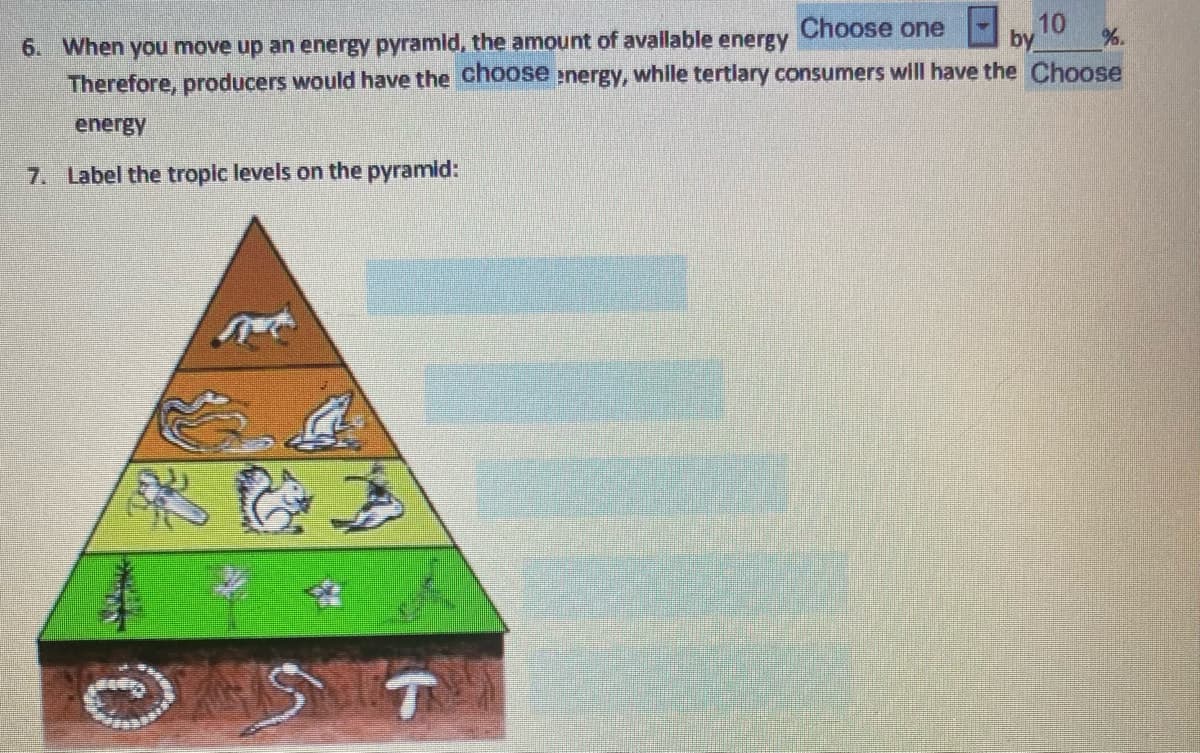 Choose one
10
6. When you move up an energy pyramld, the amount of avallable energy
Therefore, producers would have the Choose nergy, whille tertlary consumers wlll have the Choose
by
%.
energy
7. Label the tropic levels on the pyramid:
