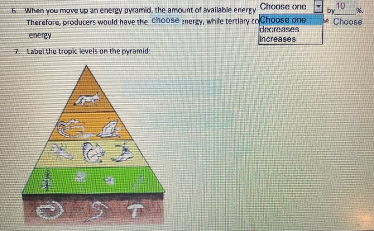 Choose one
10
6. When you move up an energy pyramid, the amount of available
energy
by
%.
Therefore, producers would have the choose :nergy, while tertlary coChoose one
decreases
increases
e Choose
energy
7. Label the tropic levels on the pyramid:
दि.
