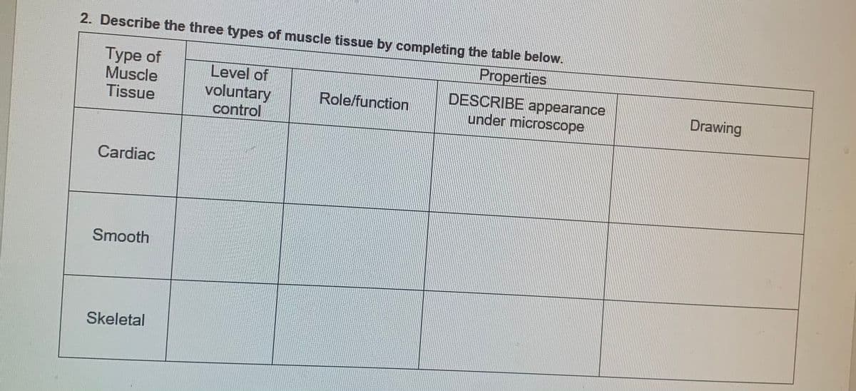2. Describe the three types of muscle tissue by completing the table below.
Properties
Турe of
Muscle
Tissue
Level of
voluntary
control
DESCRIBE appearance
under microscope
Role/function
Drawing
Cardiac
Smooth
Skeletal
