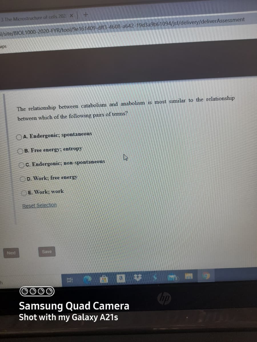 3 The Microstructure of cells 202 x
al/site/BIOL1000-2020-FYR/tool/9e161409-dff3-4608-a642-19d3a9b61094/jsf/delivery/deliverAssessment
aps
The relationship between catabolism and anabolism is most similar to the relationship
between which of the following pairs of terms?
OA. Endergonic; spontaneous
B. Free energy; entropy
OC. Endergonic; non-spontaneous
D. Work; free energy
OE. Work; work
Reset Selection
Next
Save
a
Chp
Samsung Quad Camera
Shot with my Galaxy A21s
