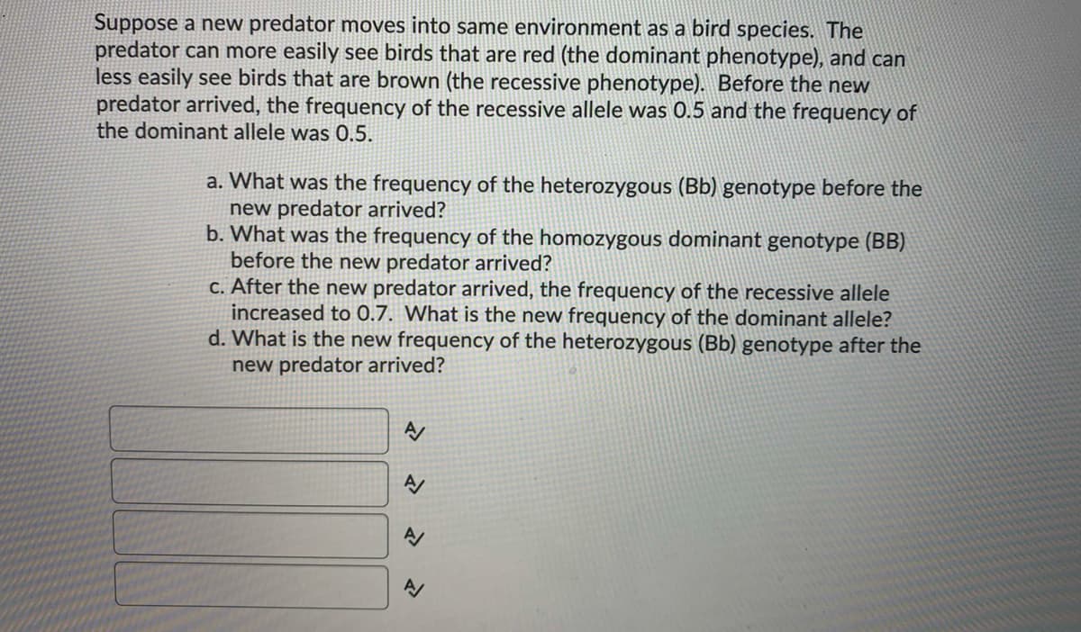 Suppose a new predator moves into same environment as a bird species. The
predator can more easily see birds that are red (the dominant phenotype), and can
less easily see birds that are brown (the recessive phenotype). Before the new
predator arrived, the frequency of the recessive allele was 0.5 and the frequency of
the dominant allele was 0.5.
a. What was the frequency of the heterozygous (Bb) genotype before the
new predator arrived?
b. What was the frequency of the homozygous dominant genotype (BB)
before the new predator arrived?
C. After the new predator arrived, the frequency of the recessive allele
increased to 0.7. What is the new frequency of the dominant allele?
d. What is the new frequency of the heterozygous (Bb) genotype after the
new predator arrived?
