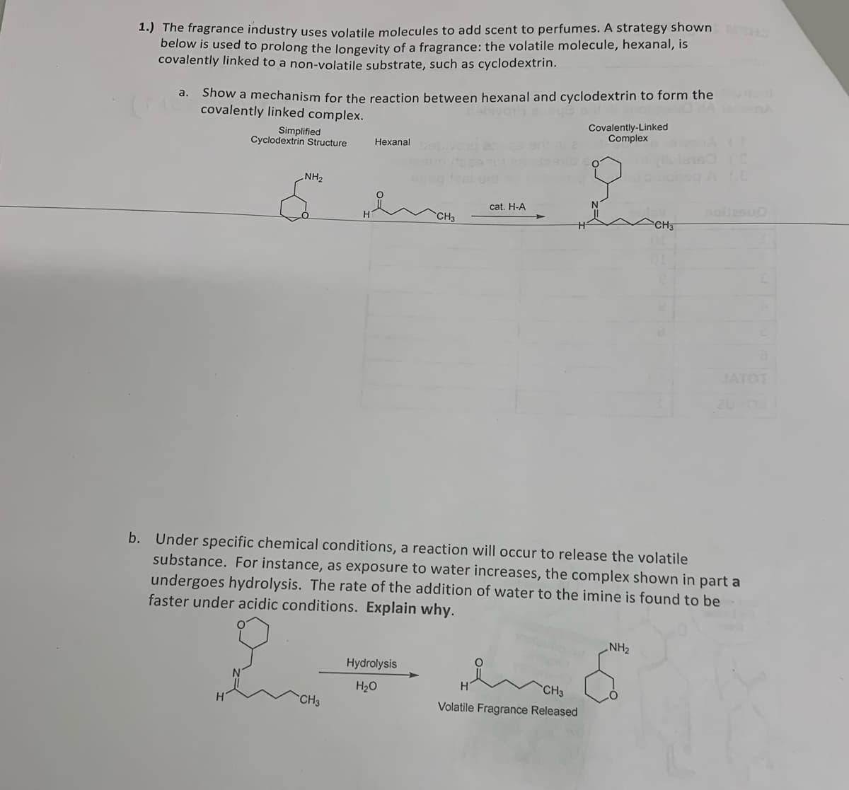 1.) The fragrance industry uses volatile molecules to add scent to perfumes. A strategy shown MOHO
below is used to prolong the longevity of a fragrance: the volatile molecule, hexanal, is
covalently linked to a non-volatile substrate, such as cyclodextrin.
a.
Show a mechanism for the reaction between hexanal and cyclodextrin to form the
covalently linked complex.
Simplified
Cyclodextrin Structure
NH₂
Hexanal
CH3
CH3
Hydrolysis
H₂O
cat. H-A
Covalently-Linked
Complex
b. Under specific chemical conditions, a reaction will occur to release the volatile
substance. For instance, as exposure to water increases, the complex shown in part a
undergoes hydrolysis. The rate of the addition of water to the imine is found to be
faster under acidic conditions. Explain why.
HenCHO
CH3
Volatile Fragrance Released
CH3
NH₂
(E