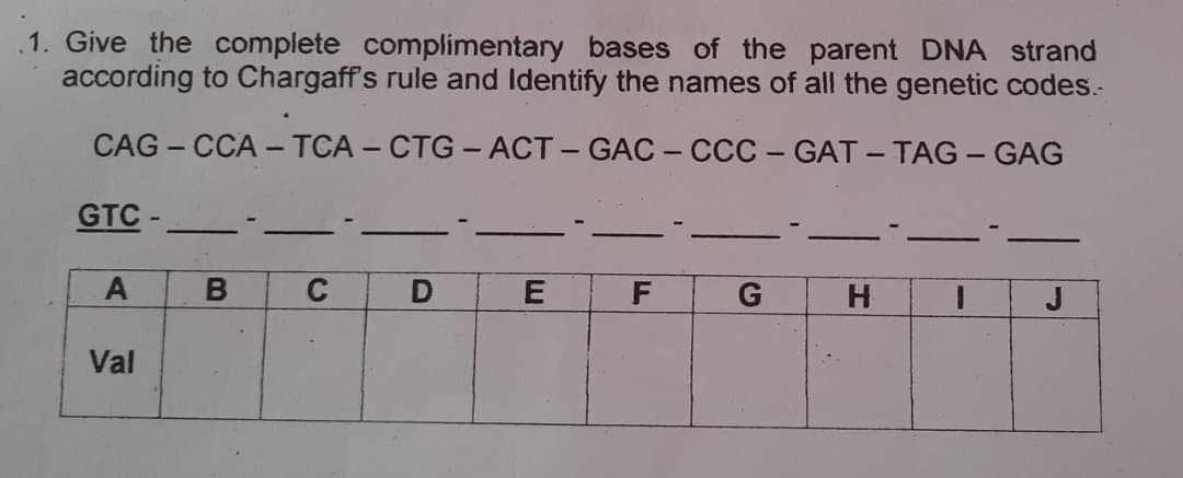 1. Give the complete complimentary bases of the parent DNA strand
according to Chargaff's rule and Identify the names of all the genetic codes.-
CAG - CCA - TCA – CTG - ACT- GAC - CCC - GAT - TAG - GAG
GTC -
C
F
G
J
Val

