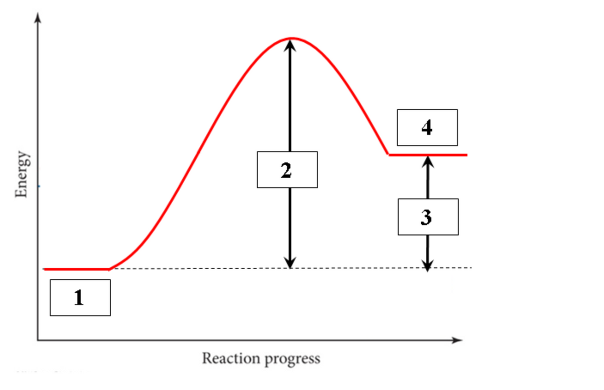 4
3
1
Reaction progress
Energy
