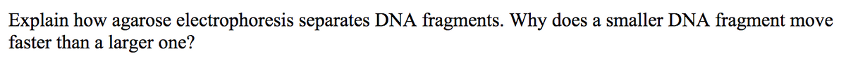 Explain how agarose electrophoresis separates DNA fragments. Why does a smaller DNA fragment move
faster than a larger one?
