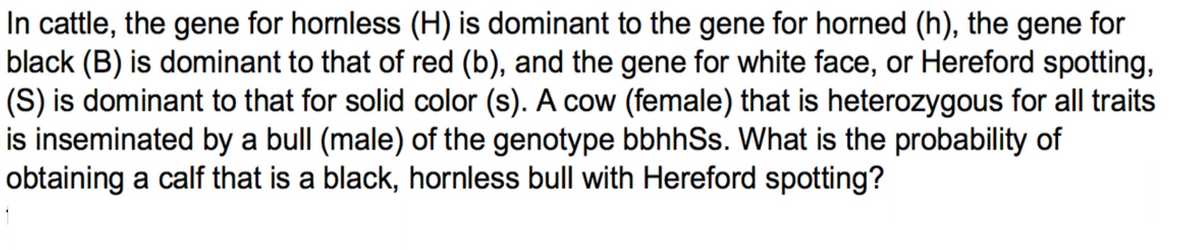 In cattle, the gene for hornless (H) is dominant to the gene for horned (h), the gene for
black (B) is dominant to that of red (b), and the gene for white face, or Hereford spotting,
(S) is dominant to that for solid color (s). A cow (female) that is heterozygous for all traits
is inseminated by a bull (male) of the genotype bbhhSs. What is the probability of
obtaining a calf that is a black, hornless bull with Hereford spotting?
