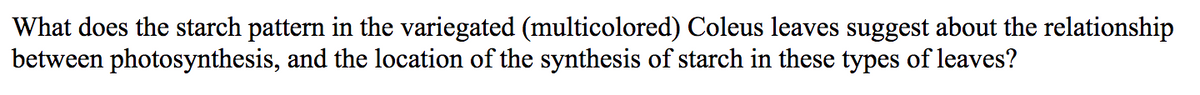What does the starch pattern in the variegated (multicolored) Coleus leaves suggest about the relationship
between photosynthesis, and the location of the synthesis of starch in these types of leaves?
