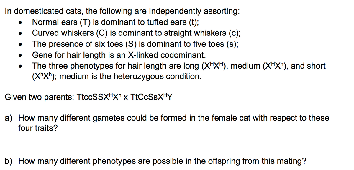 In domesticated cats, the following are Independently assorting:
6.
Normal ears (T) is dominant to tufted ears (t);
Curved whiskers (C) is dominant to straight whiskers (c);
The presence of six toes (S) is dominant to five toes (s);
Gene for hair length is an X-linked codominant.
The three phenotypes for hair length are long (XHXH), medium (X"X*), and short
(X"Xh); medium is the heterozygous condition.
Given two parents: TtccSSXHXh x TtCcSsXHY
a) How many different gametes could be formed in the female cat with respect to these
four traits?
b) How many different phenotypes are possible in the offspring from this mating?
