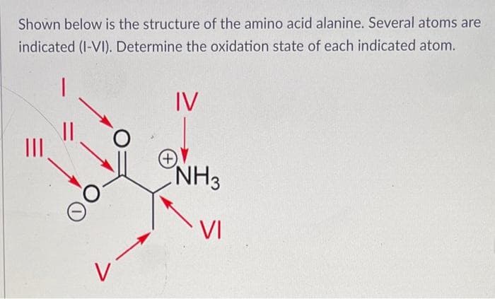 Shown below is the structure of the amino acid alanine. Several atoms are
indicated (I-VI). Determine the oxidation state of each indicated atom.
|
||
✓
IV
NH3
VI