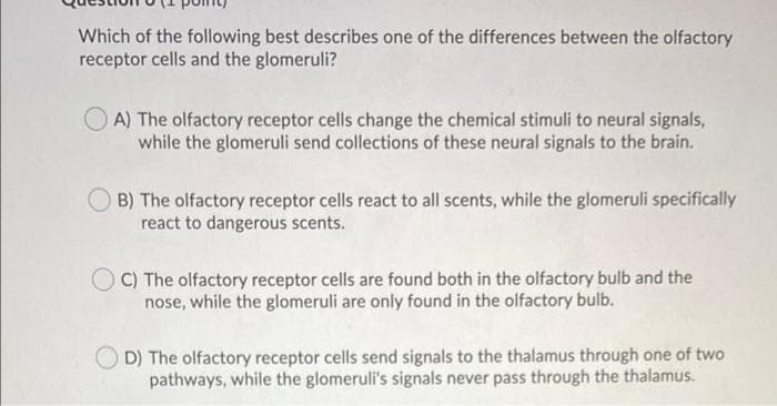 Which of the following best describes one of the differences between the olfactory
receptor cells and the glomeruli?
O A) The olfactory receptor cells change the chemical stimuli to neural signals,
while the glomeruli send collections of these neural signals to the brain.
B) The olfactory receptor cells react to all scents, while the glomeruli specifically
react to dangerous scents.
O C) The olfactory receptor cells are found both in the olfactory bulb and the
nose, while the glomeruli are only found in the olfactory bulb.
D) The olfactory receptor cells send signals to the thalamus through one of two
pathways, while the glomeruli's signals never pass through the thalamus.
