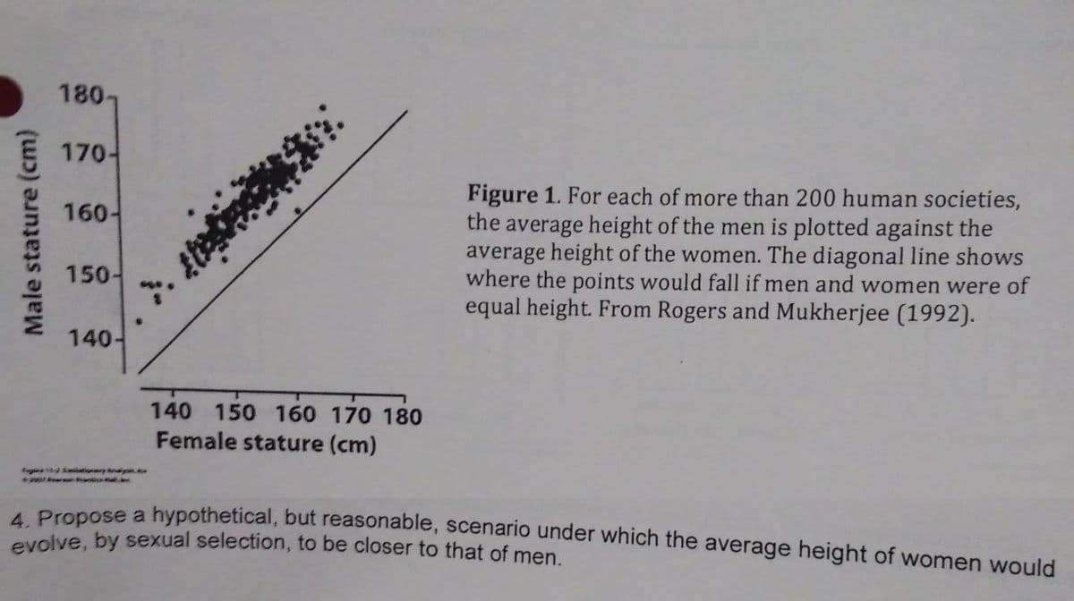 180-
170-
Figure 1. For each of more than 200 human societies,
the average height of the men is plotted against the
average height of the women. The diagonal line shows
where the points would fall if men and women were of
equal height. From Rogers and Mukherjee (1992).
160-
150-
140-
140 150 160 170 180
Female stature (cm)
tionry ysin.e
. Pronose a hypothetical, but reasonable, scenario under which the average height of women would
evolve, by sexual selection, to be closer to that of men.
Male stature (cm)
