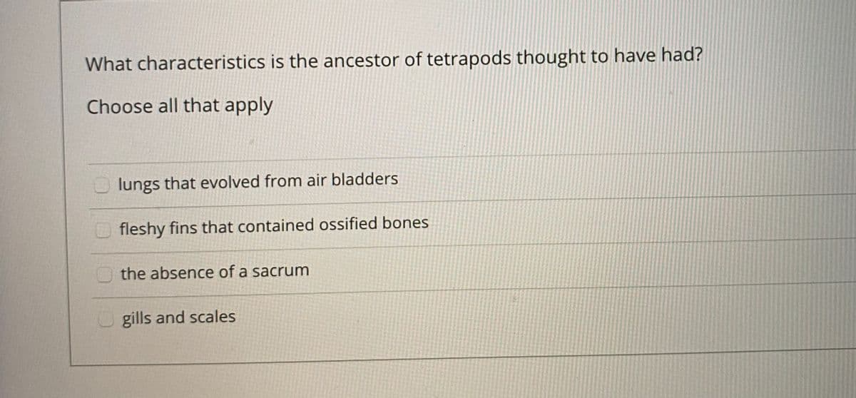 What characteristics is the ancestor of tetrapods thought to have had?
Choose all that apply
O lungs that evolved from air bladders
Ofleshy fins that contained ossified bones
the absence of a sacrum
O gills and scales
