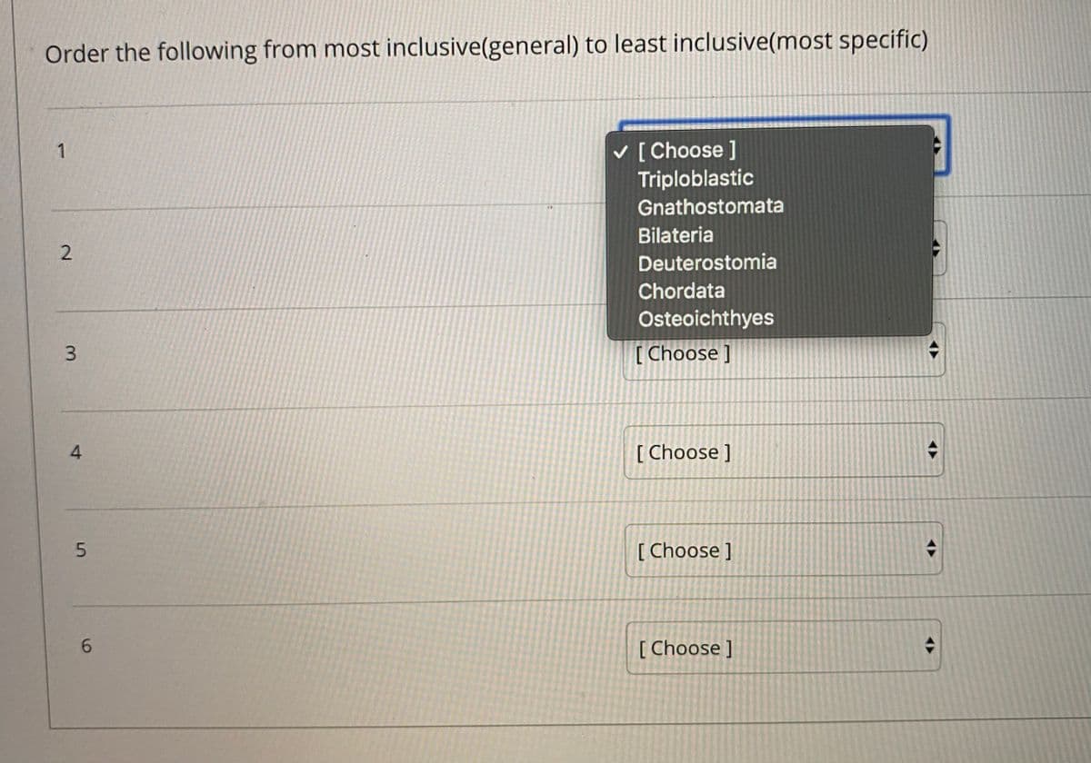 Order the following from most inclusive(general) to least inclusive(most specific)
v [ Choose ]
Triploblastic
Gnathostomata
Bilateria
2
Deuterostomia
Chordata
Osteoichthyes
[ Choose ]
[ Choose ]
[ Choose ]
6.
[ Choose ]
3.
4-
