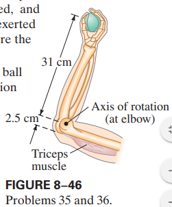 ed, and
exerted
re the
31 cm
ball
ion
Axis of rotation
2.5 cm
(at elbow)
Triceps
muscle
FIGURE 8–46
Problems 35 and 36.
