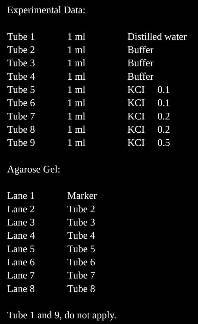 Experimental Data:
1 ml
1 ml
1 ml
1 ml
1 ml
1 ml
1 ml
1 ml
1 ml
Tube 1
Distilled water
Tube 2
Buffer
Tube 3
Buffer
Tube 4
Buffer
Tube 5
KCI
0.1
Tube 6
KCI
0.1
Tube 7
KCI
0.2
Tube 8
KCI
0.2
Tube 9
KCI
0.5
Agarose Gel:
Lane 1
Marker
Lane 2
Tube 2
Lane 3
Tube 3
Lane 4
Tube 4
Lane 5
Tube 5
Lane 6
Tube 6
Lane 7
Tube 7
Lane 8
Tube 8
Tube 1 and 9, do not apply.
