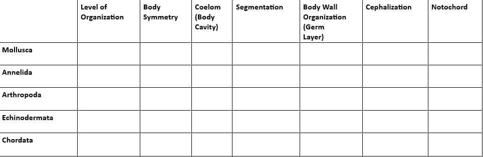 Mollusca
Annelida
Arthropoda
Echinodermata
Chordata
Level of
Organization
Body
Symmetry
Coelom
(Body
Cavity)
Segmentation
Body Wall
Organization
(Germ
Layer)
Cephalization Notochord