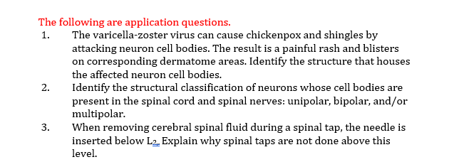 The following are application questions.
The varicella-zoster virus can cause chickenpox and shingles by
attacking neuron cell bodies. The result is a painful rash and blisters
on corresponding dermatome areas. Identify the structure that houses
1.
the affected neuron cell bodies.
Identify the structural classification of neurons whose cell bodies are
present in the spinal cord and spinal nerves: unipolar, bipolar, and/or
multipolar.
When removing cerebral spinal fluid during a spinal tap, the needle is
inserted below L2. Explain why spinal taps are not done above this
level.
2.
3.
