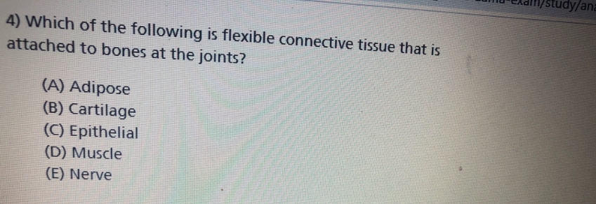 4) Which of the following is flexible connective tissue that is
attached to bones at the joints?
(A) Adipose
(B) Cartilage
(C) Epithelial
(D) Muscle
(E) Nerve
study/ana