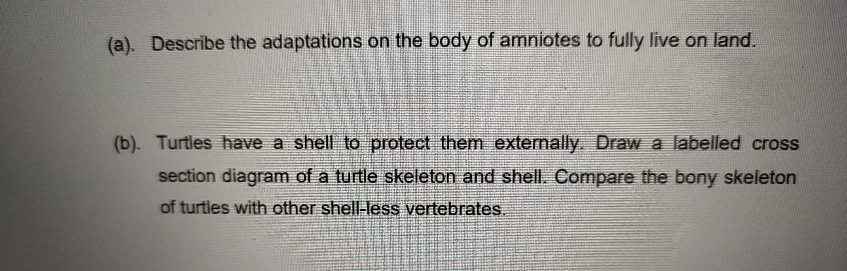 (a). Describe the adaptations on the body of amniotes to fully live on land.
(b). Turtles have a shell to protect them externally. Draw a labelled cross
section diagram of a turtle skeleton and shell. Compare the bony skeleton
of turtles with other shell-less vertebrates.