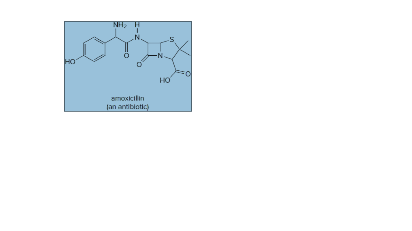 NH2
-N-
Но
HO
amoxicillin
(an antibiotic)
IIN
