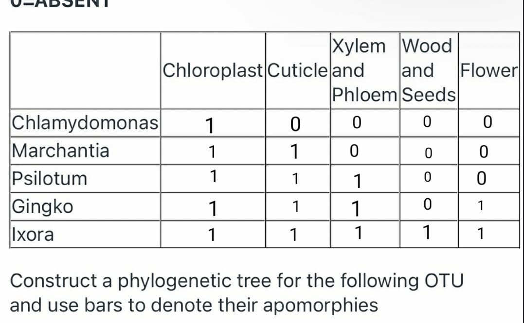 Xylem Wood
and
Phloem Seeds
|Chloroplast Cuticle and
Flower
Chlamydomonas
Marchantia
Psilotum
1
1
1
1
1
Gingko
1
1
1
1
Ixora
1
1
1
1
1
Construct a phylogenetic tree for the following OTU
and use bars to denote their apomorphies

