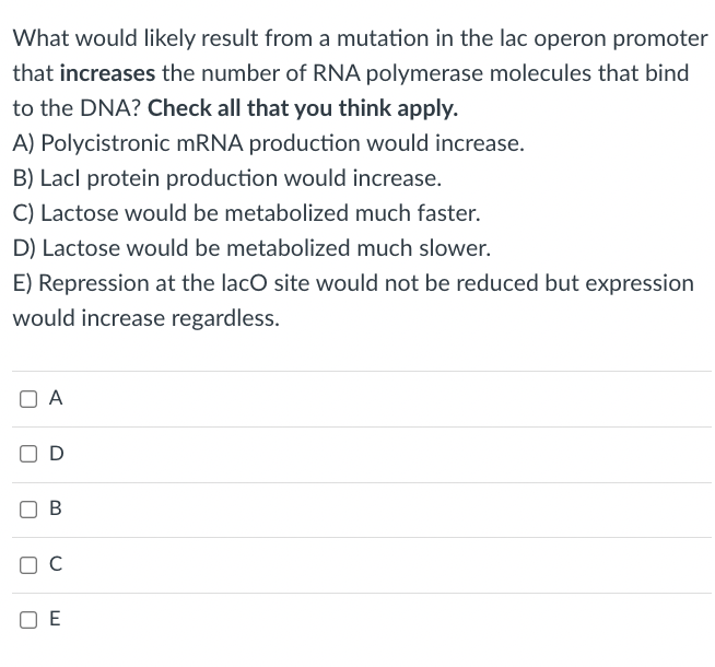 What would likely result from a mutation in the lac operon promoter
that increases the number of RNA polymerase molecules that bind
to the DNA? Check all that you think apply.
A) Polycistronic MRNA production would increase.
B) Lacl protein production would increase.
C) Lactose would be metabolized much faster.
D) Lactose would be metabolized much slower.
E) Repression at the lacO site would not be reduced but expression
would increase regardless.
A
O D
C
O E
