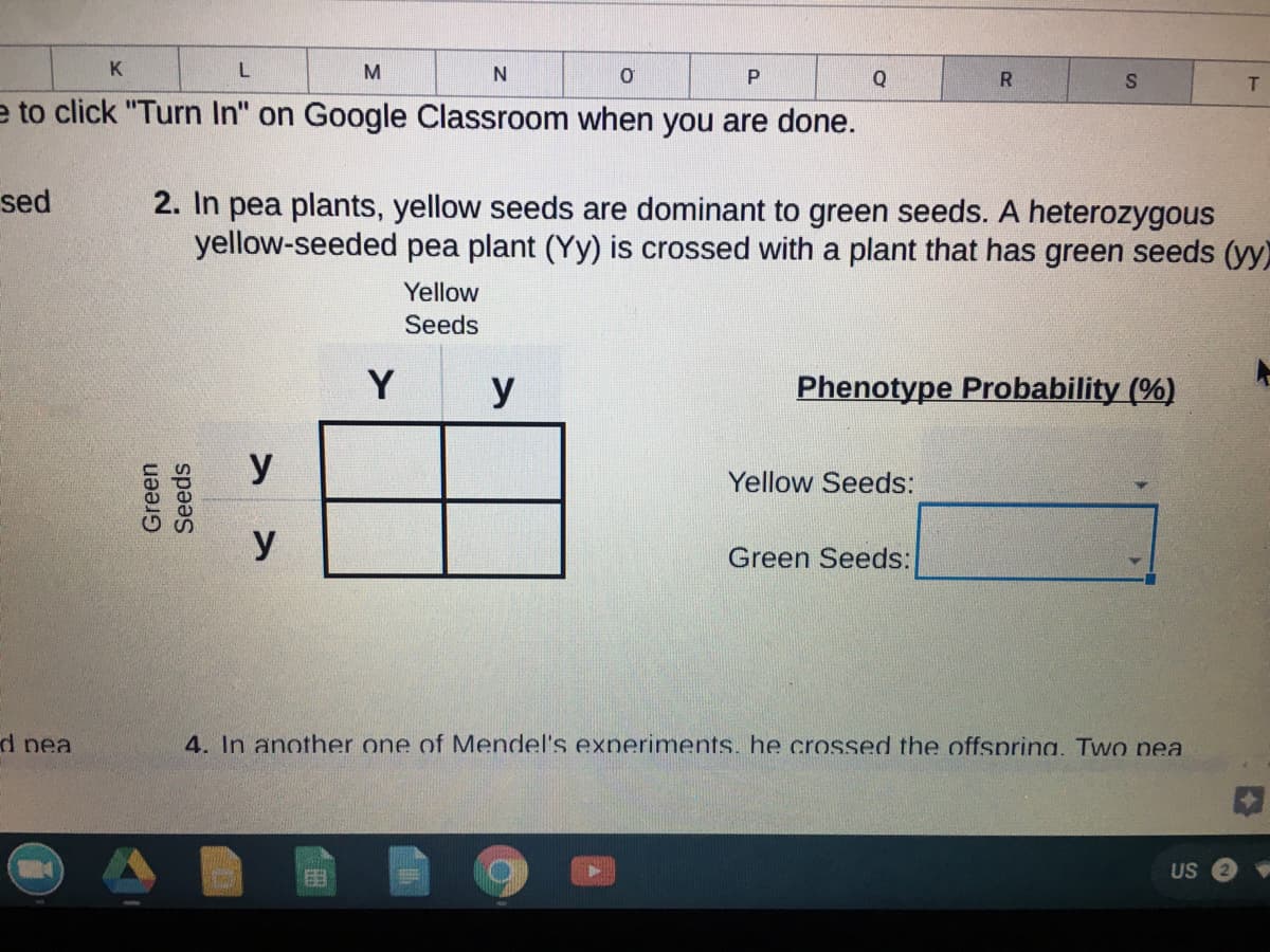 K
M
Q
R
T.
e to click "Turn In" on Google Classroom when you are done.
sed
2. In pea plants, yellow seeds are dominant to green seeds. A heterozygous
yellow-seeded pea plant (Yy) is crossed with a plant that has green seeds (yy)
Yellow
Seeds
Y
y
Phenotype Probability (%)
y
Yellow Seeds:
y
Green Seeds:
d nea
4. In another one of Mendel's exneriments. he crossed the offsprina. Two pea
US
Green
Seeds
