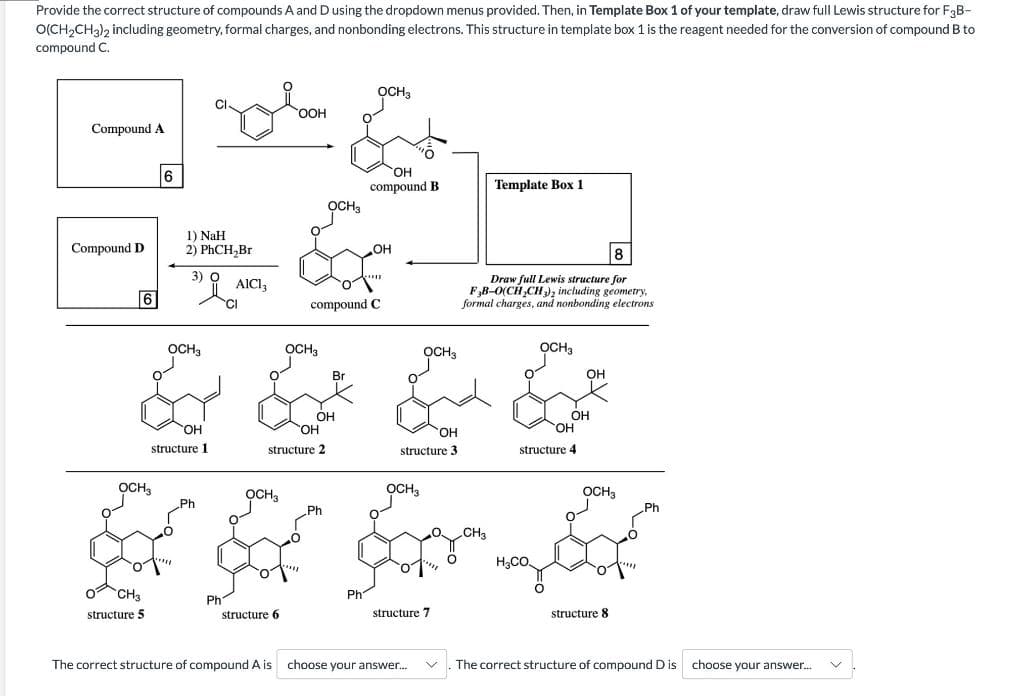 Provide the correct structure of compounds A and Dusing the dropdown menus provided. Then, in Template Box 1 of your template, draw full Lewis structure for F3B-
O(CH2CH3)2 including geometry, formal charges, and nonbonding electrons. This structure in template box 1 is the reagent needed for the conversion of compound B to
compound C.
OCH3
OO,
Compound A
HO,
compound B
Template Box 1
OCH3
1) NaH
2) PҺСH,Br
Compound D
OH
8
3) O
Draw full Lewis structure for
FB-O(CH,CH), including geometry,
formal charges, and nonbonding electrons
AICI,
compound C
OCH3
OCH3
OCH3
OCH,
Br
OH
он
ÓH
OH
HO.
structure 4
HO,
structure 1
structure 2
structure 3
OCH,
OCH3
OCH,
OCH3
CH3
H3CO.
O CH,
Ph
Ph
structure 5
structure 6
structure 7
structure 8
The correct structure of compound A is choose your answer.
The correct structure of compound D is
choose your answer.
