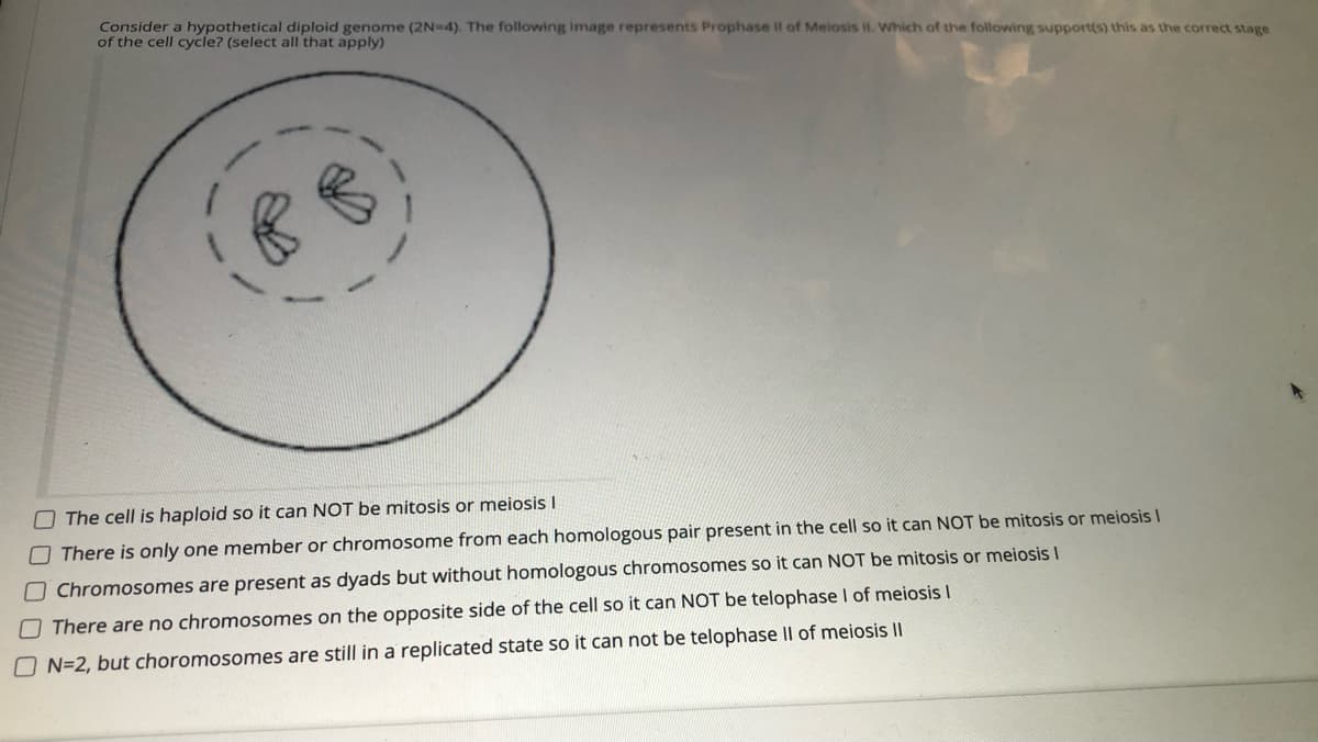 Consider a hypothetical diploid genome (2N-4). The following image represents Prophase il of Meiosis il. Which of the following support(s) this as the correct stage
of the cell cycle? (select all that apply)
O The cell is haploid so it can NOT be mitosis or meiosis I
OThere is only one member or chromosome from each homologous pair present in the cell so it can NOT be mitosis or meiosis I
Chromosomes are present as dyads but without homologous chromosomes so it can NOT be mitosis or meiosis I
There are no chromosomes on the opposite side of the cell so it can NOT be telophase I of meiosis I
N=2, but choromosomes are still in a replicated state so it can not be telophase II of meiosis II
