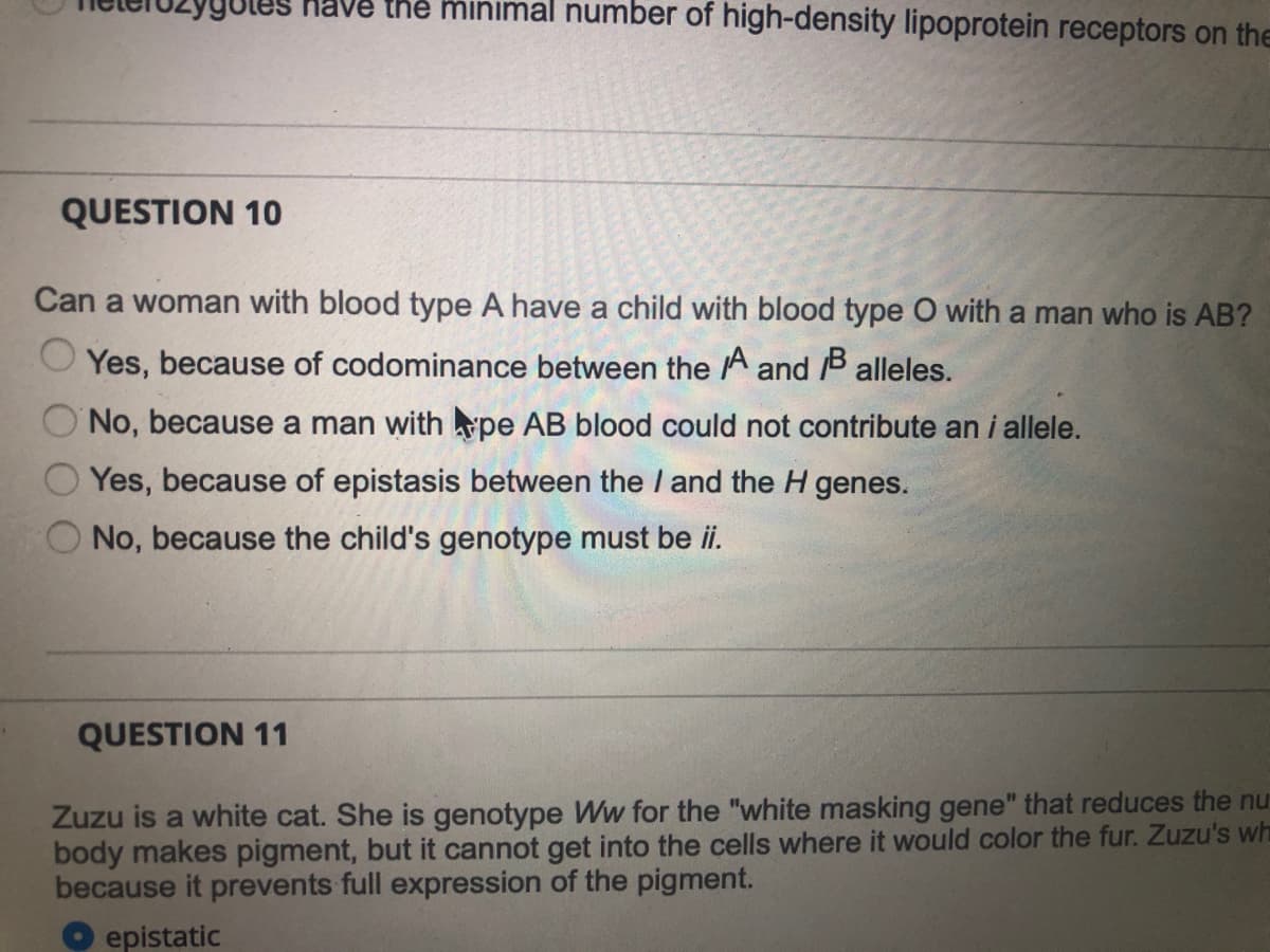 Have the minimal number of high-density lipoprotein receptors on the
QUESTION 10
Can a woman with blood type A have a child with blood type O with a man who is AB?
Yes, because of codominance between the A and /B alleles.
No, because a man with rpe AB blood could not contribute an i allele.
Yes, because of epistasis between the I and the H genes.
No, because the child's genotype must be ii.
QUESTION 11
Zuzu is a white cat. She is genotype Ww for the "white masking gene" that reduces the nu-
body makes pigment, but it cannot get into the cells where it would color the fur. Zuzu's wh
because it prevents full expression of the pigment.
epistatic
