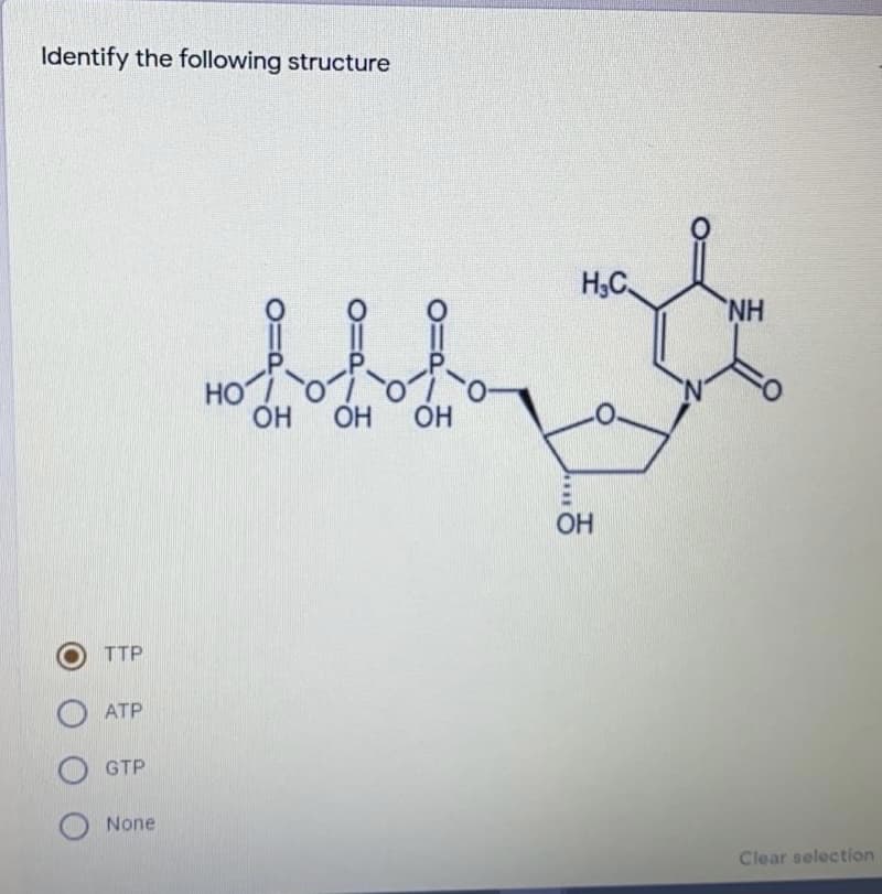 Identify the following structure
H;C
NH
HO
OH
OH
OH
TTP
ATP
GTP
None
Clear selection
