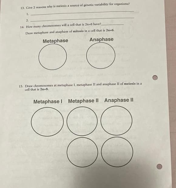 13. Give 2 reasons why is meiosis a source of genetic variability for organisms?
1.
2.
14. How many chromosomes will a cell that is 2n=6 have?
Draw metaphase and anaphase of mitosis in a cell that is 2n 6.
Metaphase
Anaphase
15. Draw chromosomes at metaphase I, metaphase II and anaphase II of meiosis in a
cell that is 2n=8.
Metaphase I Metaphase II Anaphase II
