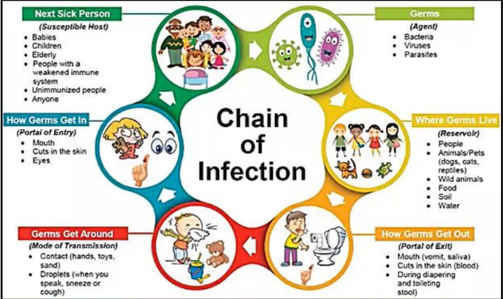 Next Sick Person
Germs
(Susceptible Host)
• Babies
Children
• Elderly
• People with a
weakened immune
system
• Unimmunized people
Anyone
(Agent)
• Bacteria
Viruses
• Parasites
Chain
of
Infection
How Germs Get In
Where Germs Live
(Portai of Entry)
• Mouth
• Cuts in the skin
• Eyes
(Reservoir)
People
Animals/Pets
(dogs, cats,
reptiles)
wild animals
Food
• Soil
Water
Germs Get Around
(Mode of Transmission)
• Contact (hands, toys.
sand)
• Droplets (when you
speak, sneeze or
cough)
How Germs Get Out
(Portal of Exit)
Mouth (vomit, saliva)
Cuts in the skin (blood)
During diapering
and toileting
stool)
