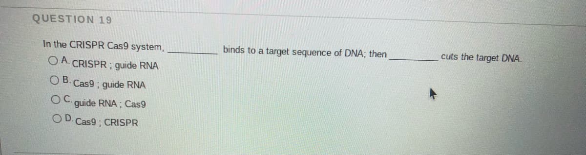 QUESTION 19
In the CRISPR Cas9 system,
binds to a target sequence of DNA; then
cuts the target DNA.
O A. CRISPR ; guide RNA
O B. Cas9 ; guide RNA
OC.
guide RNA ; Cas9
O D. Cas9 ; CRISPR
