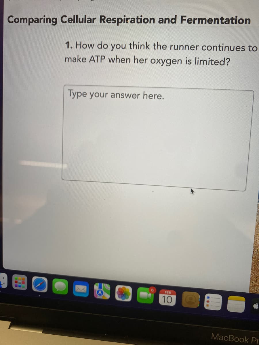 Comparing Cellular Respiration and Fermentation
1. How do you think the runner continues to
make ATP when her oxygen is limited?
Type your answer here.
FEB
10
MacBook Pr
