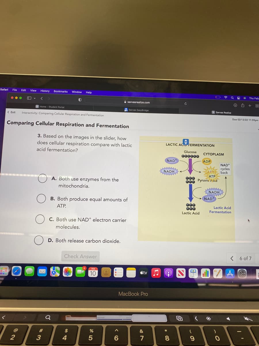 Safari File
Edit
View
History
Bookmarks
Window
Help
...
く
令
Thu Feb
A savvasrealize.com
D Home - Student Portal
ASavvas EasyBridge
く Exit
Interactivity: Comparing Cellular Respiration and Fermentation
Savvas Realize
Due 02/13/22 11:59pm
Comparing Cellular Respiration and Fermentation
3. Based on the images in the slider, how
does cellular respiration compare with lactic
LACTIC ACI FERMENTATION
acid fermentation?
Glucose
CYTOPLASM
000000
NAD
ADP
NAD*
cycles
NADH
ATE back
ATP
Pyruvic A cid
A. Both use enzymes from the
000
mitochondria.
NADH
B. Both produce equal amounts of
NAD+
000
000
Lactic Acid
ATP.
Lactic Acid
Fermentation
C. Both use NAD+ electron carrier
molecules.
D. Both release carbon dioxide.
Check Answer
< 6 of 7
10
étv
MacBook Pro
く
く※
23
2$
3
4
5
7
CO
