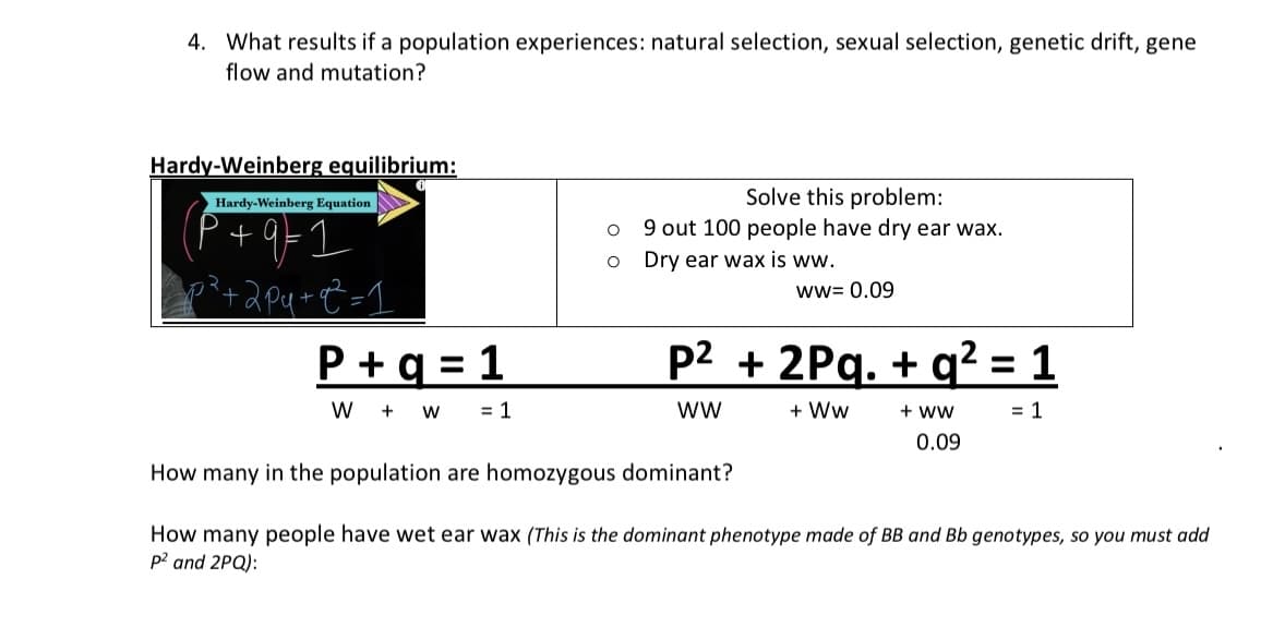 4. What results if a population experiences: natural selection, sexual selection, genetic drift, gene
flow and mutation?
Hardy-Weinberg equilibrium:
Hardy-Weinberg Equation
P+q=1
20² +2pq+q² = 1
P + g = 1
W + W = 1
O
O
Solve this problem:
9 out 100 people have dry ear wax.
Dry ear wax is ww.
ww= 0.09
p² + 2Pq. + q² = 1
WW
+ WW
+ WW
= 1
0.09
How many in the population are homozygous dominant?
How many people have wet ear wax (This is the dominant phenotype made of BB and Bb genotypes, so you must add
p² and 2PQ):