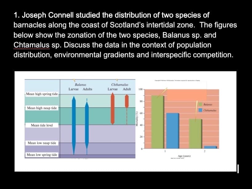 1. Joseph Connell studied the distribution of two species of
barnacles along the coast of Scotland's intertidal zone. The figures
below show the zonation of the two species, Balanus sp. and
Chtamalus sp. Discuss the data in the context of population
distribution, environmental gradients and interspecific competition.
Balanus
Chthamalus
Larvae Adults
Larvae Adult
100
Mean high spring tide -
80-
Balanus
Mean high neap tide
Chthamalus
Mean tide level
Mean low neap tide
Mean low spring tide
Age (years)
() AujuopN
