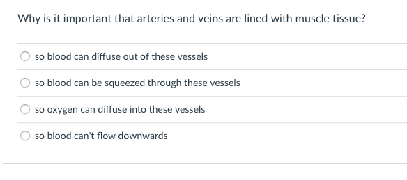 Why is it important that arteries and veins are lined with muscle tissue?
so blood can diffuse out of these vessels
so blood can be squeezed through these vessels
so oxygen can diffuse into these vessels
so blood can't flow downwards

