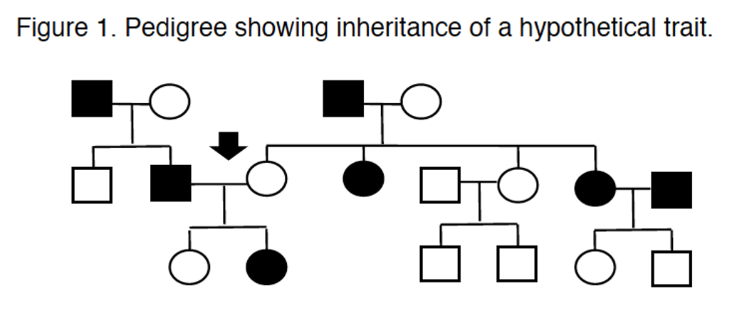 Figure 1. Pedigree showing inheritance of a hypothetical trait.
