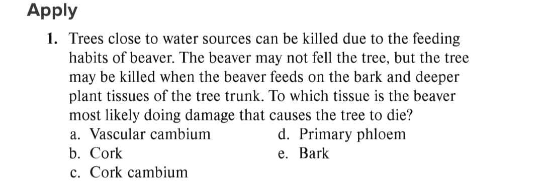 Apply
1. Trees close to water sources can be killed due to the feeding
habits of beaver. The beaver may not fell the tree, but the tree
may be killed when the beaver feeds on the bark and deeper
plant tissues of the tree trunk. To which tissue is the beaver
most likely doing damage that causes the tree to die?
a. Vascular cambium
b. Cork
c. Cork cambium
d. Primary phloem
е. Bark
