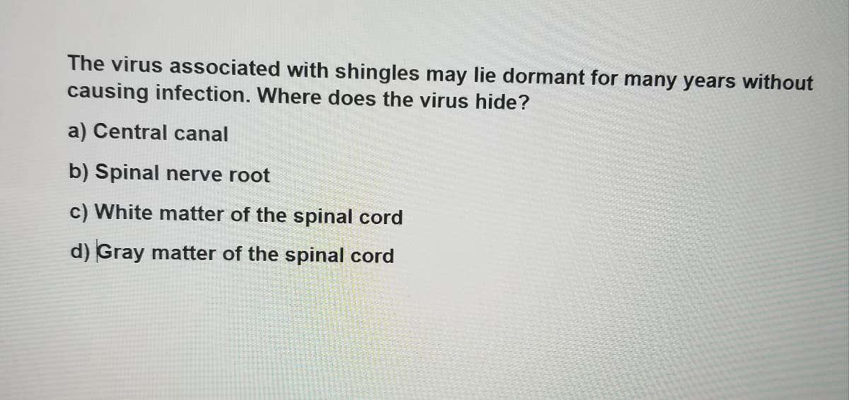 The virus associated with shingles may lie dormant for many years without
causing infection. Where does the virus hide?
a) Central canal
b) Spinal nerve root
c) White matter of the spinal cord
d) Gray matter of the spinal cord
