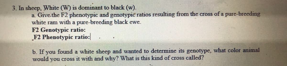 3. In sheep, White (W) is dominant to black (w).
a Give.the F2 phenotypic and genotypic ratios resulting from the cross of a pure-breeding
white ram with a pure-breeding black ewe.
F2 Genotypic ratio:
„F2 Phenotypic ratio:
b. If you found a white sheep and wanted to determine its genotype, what color animal
would you cross it with and why? What is this kind of cross called?
