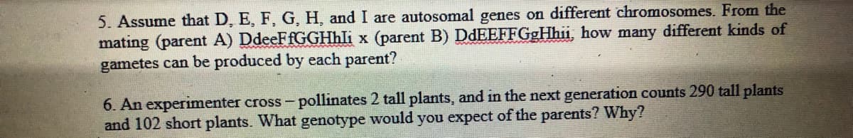 5. Assume that D, E, F, G, H, and I are autosomal genes on different chromosomes. From the
mating (parent A) DdeeFfGGHhli x (parent B) DdEEFFGgHhii, how many different kinds of
gametes can be produced by each parent?
6. An experimenter cross - pollinates 2 tall plants, and in the next generation counts 290 tall plants
and 102 short plants. What genotype would you expect of the parents? Why?
