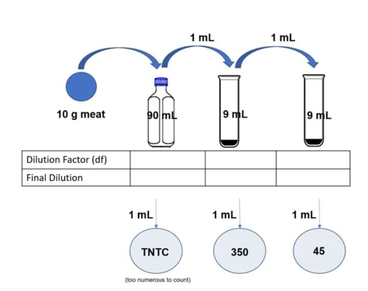 1 mL
1 mL
10 g meat
90 mL
9 mL
9 mL
Dilution Factor (df)
Final Dilution
1 mL
1 mL
1 mL
TNTC
350
45
(too numerous to count)
