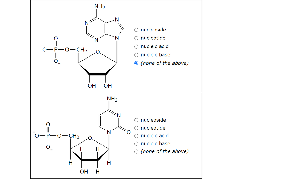 T=O
O'
NH2
N
N
○ nucleoside
N
○ nucleotide
O-CH2
OH
OH
NH2
N
O-CH2
H
H
H
H
OH
H
N
O nucleic acid
nucleic base
O (none of the above)
O nucleoside
nucleotide
nucleic acid
O nucleic base
○ (none of the above)